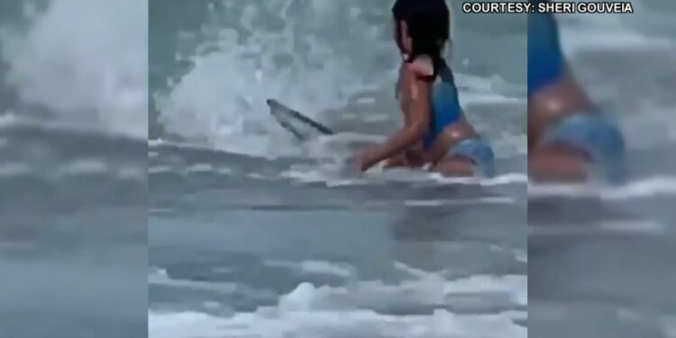Criança escapa de ataque de tubarão durante banho em praia