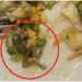 Estudante encontra ‘perereca’ em salada de famoso restaurante e caso viraliza; veja fotos