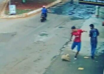 Homem quebra dentes de cão com chute após animal latir para ele; veja o vídeo