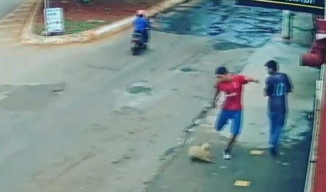 Homem quebra dentes de cão com chute após animal latir para ele; veja o vídeo