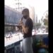 Infiltrado, ex-apoiador grita ‘Fora, Bolsonaro” durante manifestação a favor do presidente; veja vídeo
