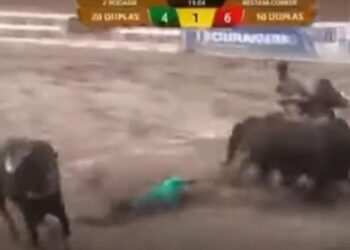 TV exibe momento em que vaqueiro morre esmagado por boi durante vaquejada; confira