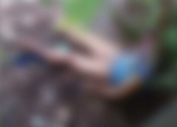 Em Manaus, corpo de homem é encontrado amarrado em árvore