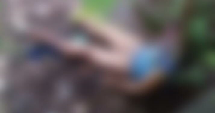 Em Manaus, corpo de homem é encontrado amarrado em árvore