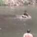 Para proteger filha, pai mata namorado agressor com 30 facadas em rio