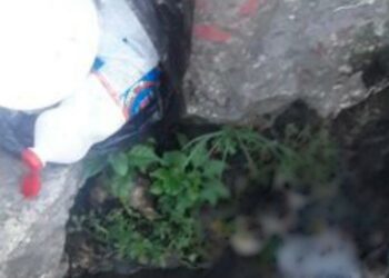 Feto é encontrado em saco de lixo no Jorge Teixeira