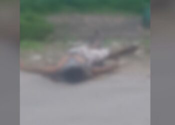 Suspeito de assalto é espancado até a morte por populares no Canaranas