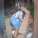 Jovem tem triste fim ao ser executado com vários tiros em beco no Santo Agostinho