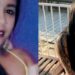 Corpos de amigas amazonenses que sumiram em SP são encontrados em terreno abandonado
