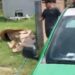 CRIME – Empresário é vítima de latrocínio dentro de oficina no bairro Petropólis