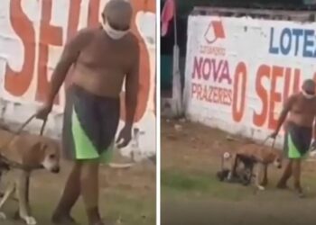 Idoso viraliza na web após ser flagrado passeando com seu cão deficiente; veja