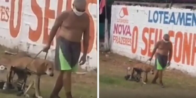 Idoso viraliza na web após ser flagrado passeando com seu cão deficiente; veja