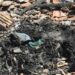 Idoso morre carbonizado após tacar fogo na própria casa; motivo seria separação
