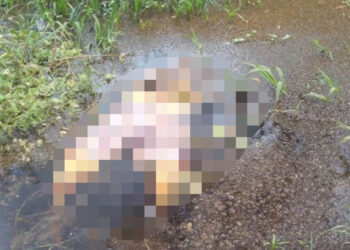 Pescador encontra cadáver em decomposição  em igapó no Tarumã