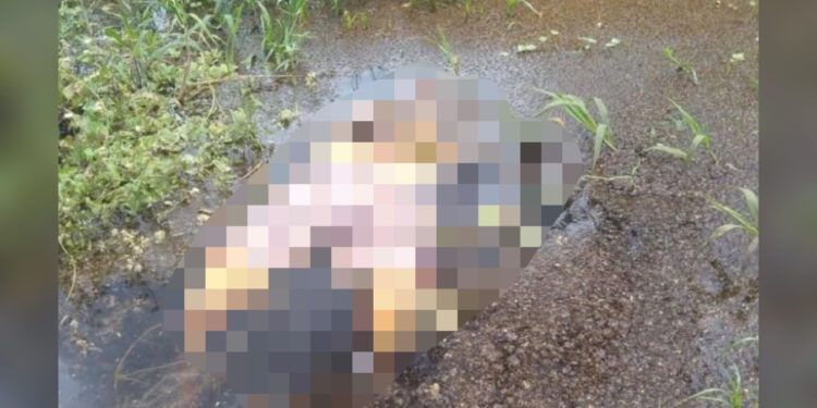 Pescador encontra cadáver em decomposição  em igapó no Tarumã
