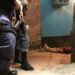 Carro usado por motorista de app assassinado no Novo Aleixo é recuperado pela PM