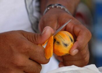 Criança de 8 anos morre após comer tucumã, em Manacapuru; FVS investiga surto