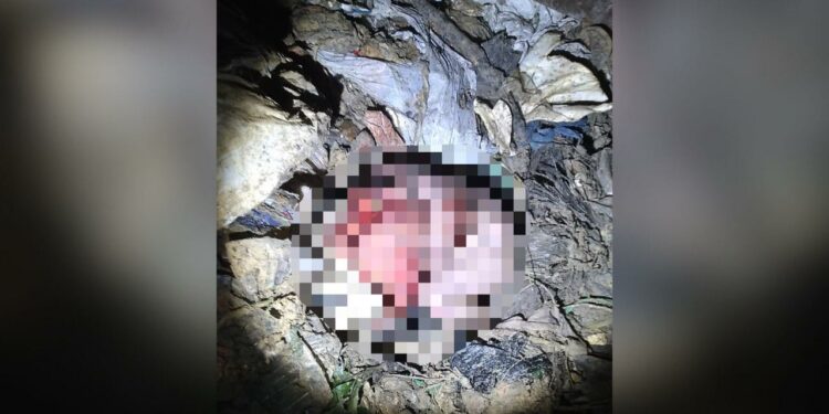Catadores encontram feto em lixão de Manaus; a cabeça estava sendo comida por urubus