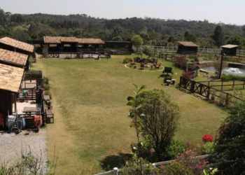 Campeã do BBB confirma participação na “Fazenda”