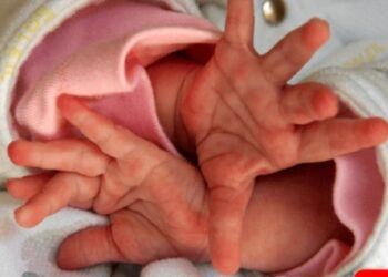 Mãe é presa com filha de três meses após ser flagrada em orgia dentro de motel em Manaus