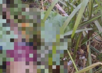 Jovem é morto a terçadadas e desovado no meio do mato na zona Norte de Manaus