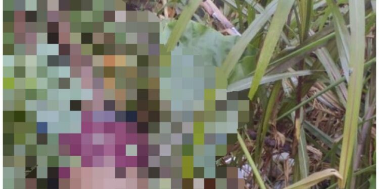 Jovem é morto a terçadadas e desovado no meio do mato na zona Norte de Manaus