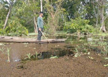 Corpo em avançado estado de decomposição é encontrado em lago, no Tarumã