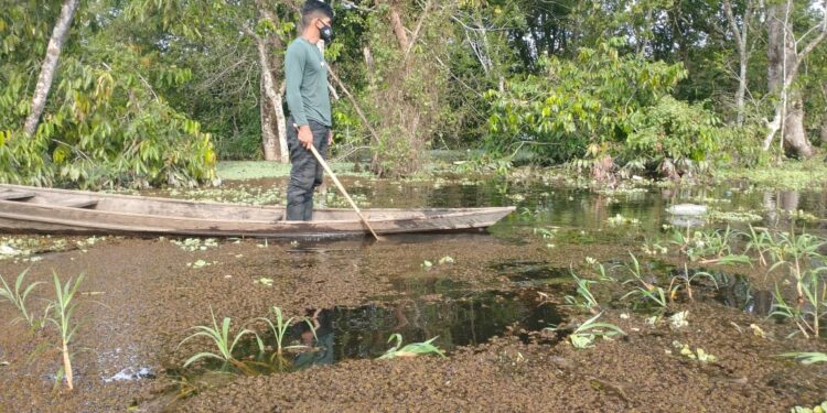 Corpo em avançado estado de decomposição é encontrado em lago, no Tarumã