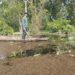 Corpo em avançado estado de decomposição é encontrado em lago, no Tarumã