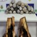 Droga é encontrada dentro de mudas de bananeira em embarcação com destino a Manaus
