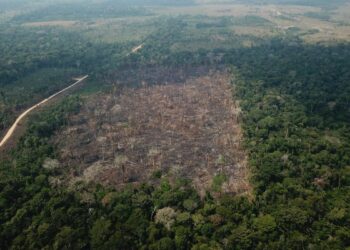 Governo inaugura antena para ampliar fiscalização de crimes ambientais na Amazônia