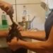 Vídeo: Mulher coloca pimenta os olhos de gato e o obriga a comer carne picante