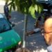 Homicídio: Homem é amarrado e executado na Feira do Coroado em plena luz do dia