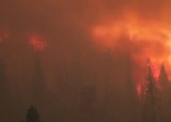 Casal irá responder na Justiça por causar incêndio florestal durante chá revelação