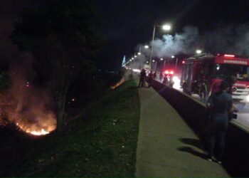 Mata é incendiada nas proximidades da ponte Rio Negro