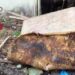 Colchão pega fogo em kitnet e três crianças foram salvas da morte em Manaus