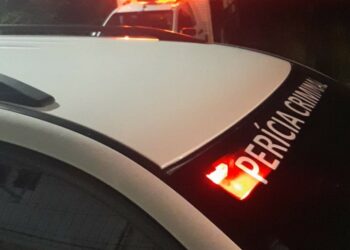 Morador de rua é encontrado morto em mata, na avenida das Torres