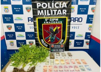 Homem é preso com mudas e porções de maconha em Boca do Acre