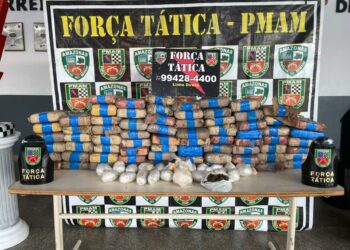 Mais de 100 quilos de drogas são apreendidos escondidos em mata no Zumbi