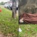 Homem é encontrado morto e com marca de tiro na nuca ao lado de cemitério, na zona Sul