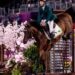 Brasil avança à final de saltos no hipismo em Tóquio