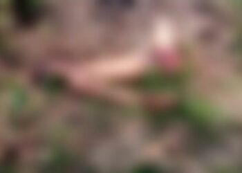 Corpo de homem com o rosto deformado é encontrado em área de mata da Ufam