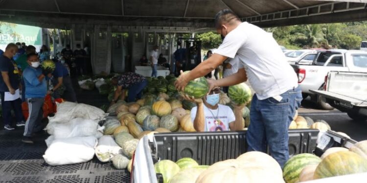 Governo do AM entrega mais de 20 toneladas de alimentos para entidades socioassistenciais
