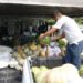 Governo do AM entrega mais de 20 toneladas de alimentos para entidades socioassistenciais
