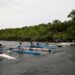 Sonho: Crianças ribeirinhas do Amazonas se inspiram em ouro olímpico de canoagem