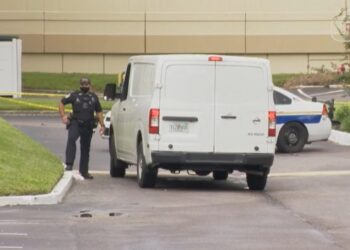 Criança encontra arma em casa e atira na cabeça da mãe durante videoconferência de trabalho