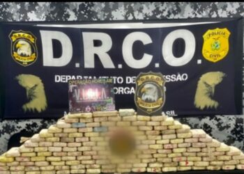 Mais de 170 quilos de cocaína são apreendidos em área rural de Manaus