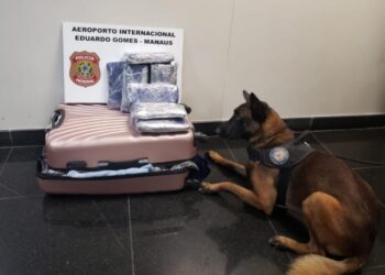 Homem jordaniano é preso com cerca de 10 Kg de droga no Aeroporto Eduardo Gomes