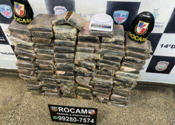 Rocam ‘estoura boca de fumo’ e apreende cerca de 108 quilos de maconha na zona Leste