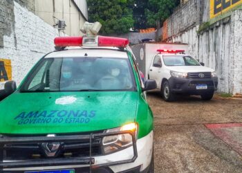 Manaus: Mulher é estuprada e espancada até a morte na zona Leste